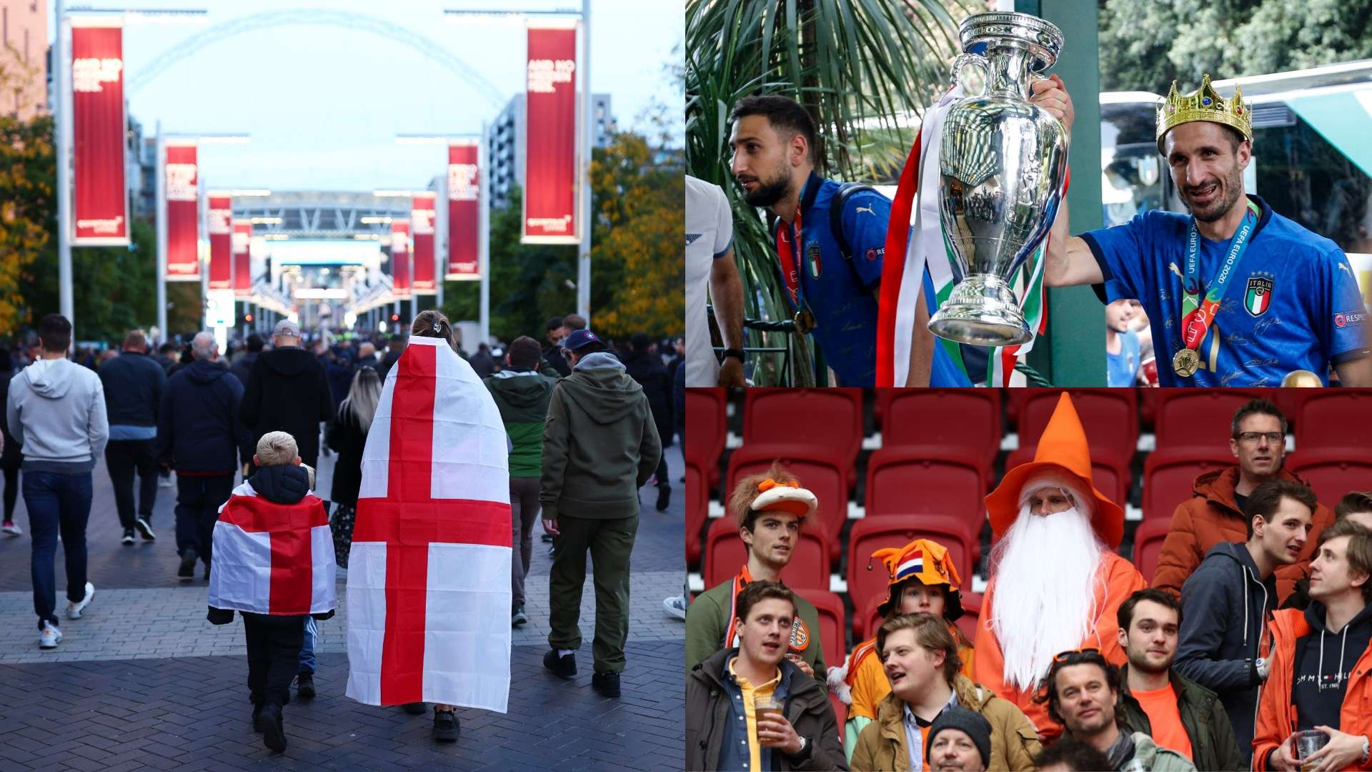 它早已成为 它早已成为