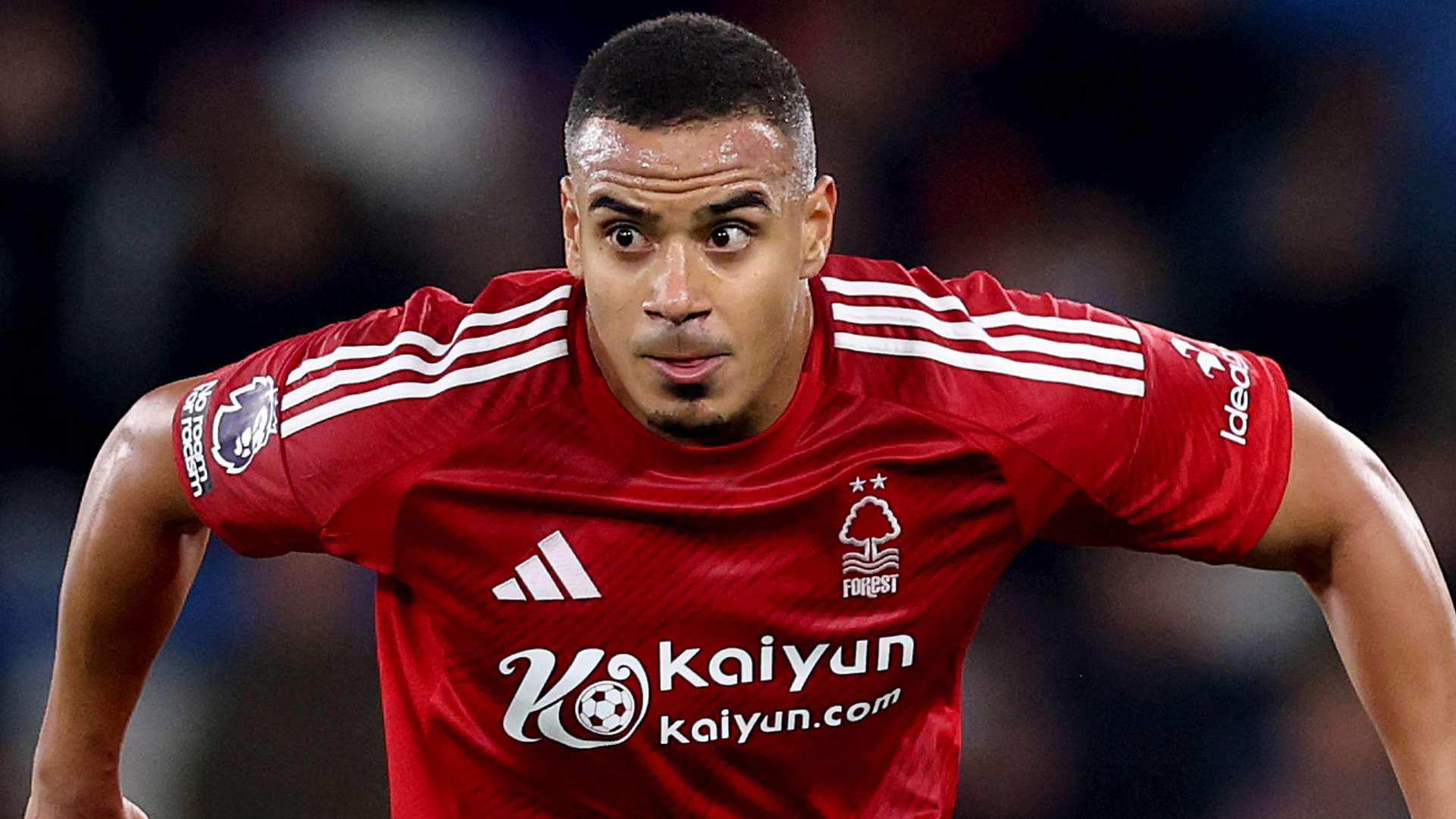 球迷和体育 球迷和体育